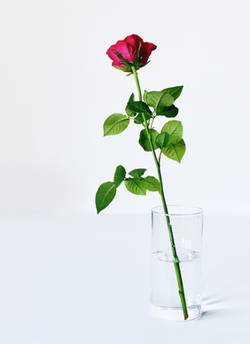 最心痛的句子文案2023 最伤心心痛的句子文案