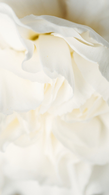 关于爱情的感悟文章 关于爱情感悟的文章