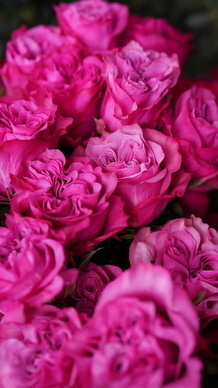 表达幸福满足的朋友圈 幸福的句子文案发朋友圈