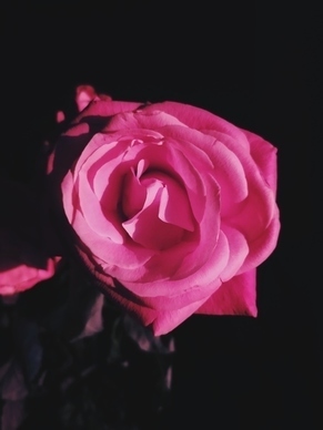 形容爱情刚好的短句 形容爱情的短句子文案大全