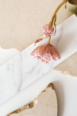 我喜欢你的句子文案超经典 我喜欢你的唯美句子文案