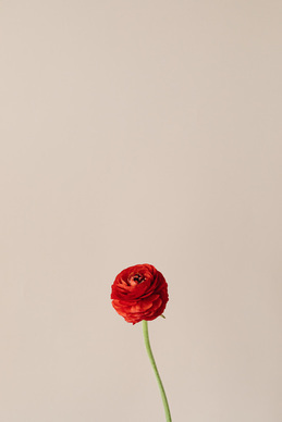 幸福满足的句子文案 形容很幸福很知足的句子文案