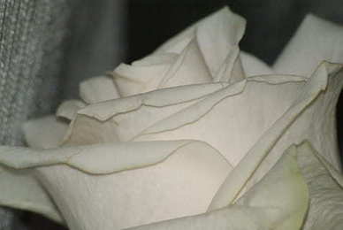 描写爱情分手的句子文案 爱情分手的句子文案