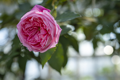 表达思念之情的句子文案 表达对情侣思念之情的句子文案