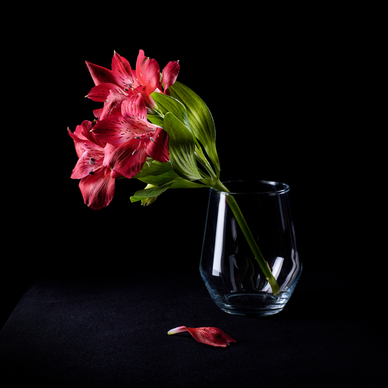 关于爱的优美的句子文案不是爱情 关于爱的好句子文案,不是爱情