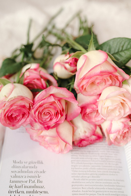 思念兄弟的经典句子文案 思念兄弟的句子文案