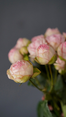 让人感觉暖心的句子文案 让人暖心的句子文案