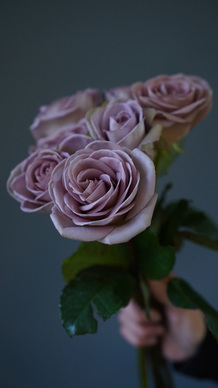 情感语录文案唯美段落 情感经典语录文案扎心一段话