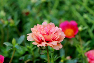 早上问好暖心句子文案情侣 情人早上问好的句子文案25句