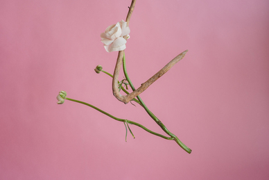 感恩同事的话语暖心 感恩同事的话语暖心简短