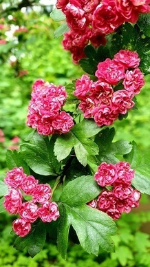 表达心痛的诗词 表达心痛的诗句文案