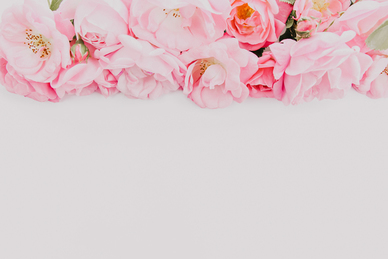 单身自嘲幽默的话 用一句话嘲讽单身狗