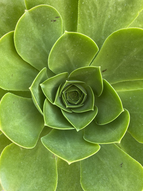 表达暖心的句子文案图片 表达“暖心”的句子文案有哪些？