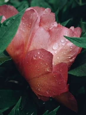 俏皮可爱温柔的早安短句 温馨的早安语录文案短句