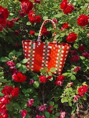 对对象说的话真心的 对男朋友说真心的话