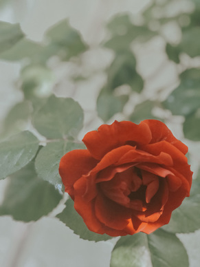 分手就要彻底句子文案 感觉快要分手的句子文案