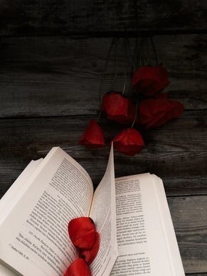 宋声声虐心句子文案 宋声声的语录有哪些?