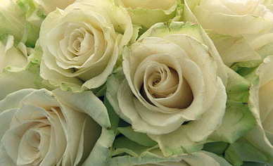 女生表白男生的话真实 女生表白的话真实点的