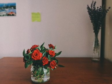 描写女人的唯美句子文案 描写女人唯美句子文案