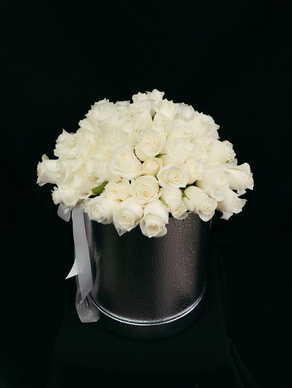 关于鸟的爱情句子文案 用两只鸟形容爱情的诗句有哪些?