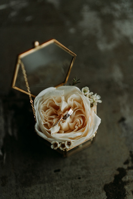 名著里含蓄的情话文案