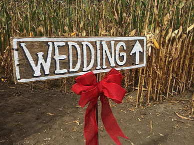 爱情最美的样子句子文案说说 形容爱情美好的唯美句子文案大全