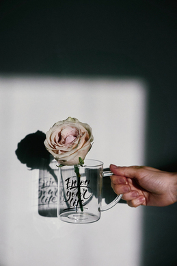 暖心祝福语 一句暖心祝福语