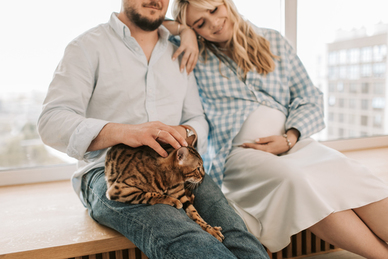 成熟情话文案最暖心短句 情话文案最暖心短句?