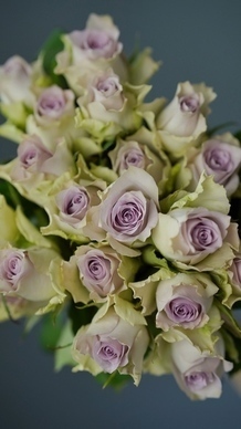 原耽经典语录表白 原耽里面表白的句子文案