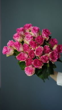 放下感情的句子文案 关于放下感情的句子文案