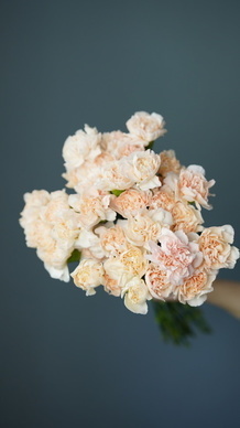 12字情话文案最暖心短句 十二字情话文案最暖心短句