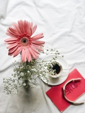 祝女朋友生日快乐的短语 怎么祝女朋友生日快乐的短句