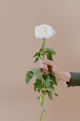 很虐心的句子文案 求很虐心的句子文案,不要太长,但要经典