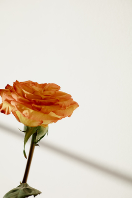 对老公说的话感动到哭 老婆写给老公的哪段话，能把他感动哭？