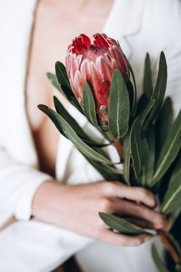 婚姻真理名言警句 关于婚姻的名言警句