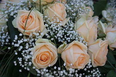 可爱女孩发朋友圈的句子文案 女生发朋友圈的句子文案