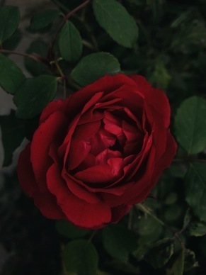 哄老婆的甜言蜜语套路 最能哄老婆开心的甜言蜜语