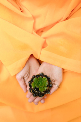 表达爱情的古风短句 表示爱情的古风句子文案