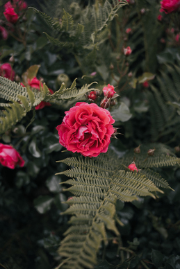 男人中的路易威登社会语录文案 与男人中的路易威登相对的情侣网名