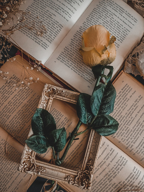 美好爱情的古诗 古代的美好爱情诗词有哪些呢?