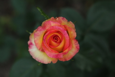 艾特对象的长篇文案 艾特对象的句子