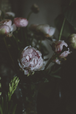 骂醒颓废女孩的励志文案