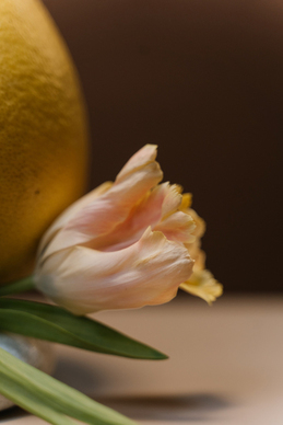 俏皮抖音可爱句子文案 可爱到爆的俏皮句子文案有什么？