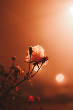 情侣暖心短句子文案大全 情人节情话最暖心短句送女友有哪些？