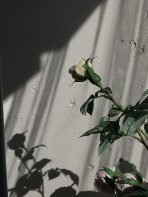 感觉爱情在慢慢消失的句子文案 关于“新鲜感慢慢消失”的句子文案有哪些？