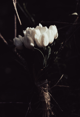 让人心疼的说说文案 求几句看了会让人心疼的伤感说说文案