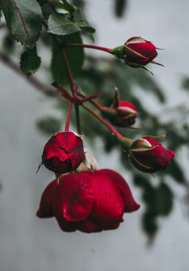 给女朋友加油鼓励的话 鼓励女朋友的加油句子文案
