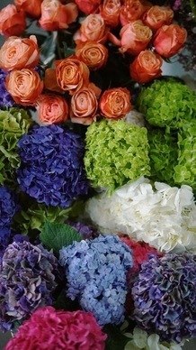 聊天撩人情话文案 如何说撩人的情话文案