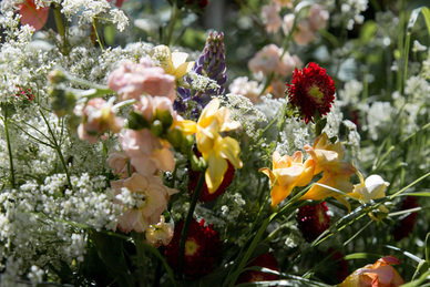 表白男生的话真实点的100字 表白的话对男生霸气100字