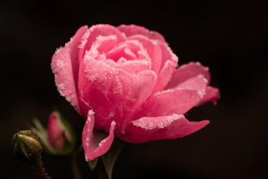 讽刺渣女的短句 渣女语录文案短句